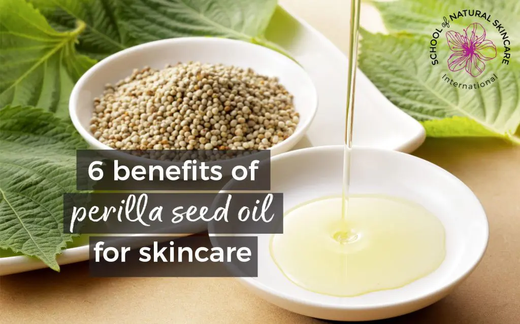 Photo of perilla leaves, seeds and oil