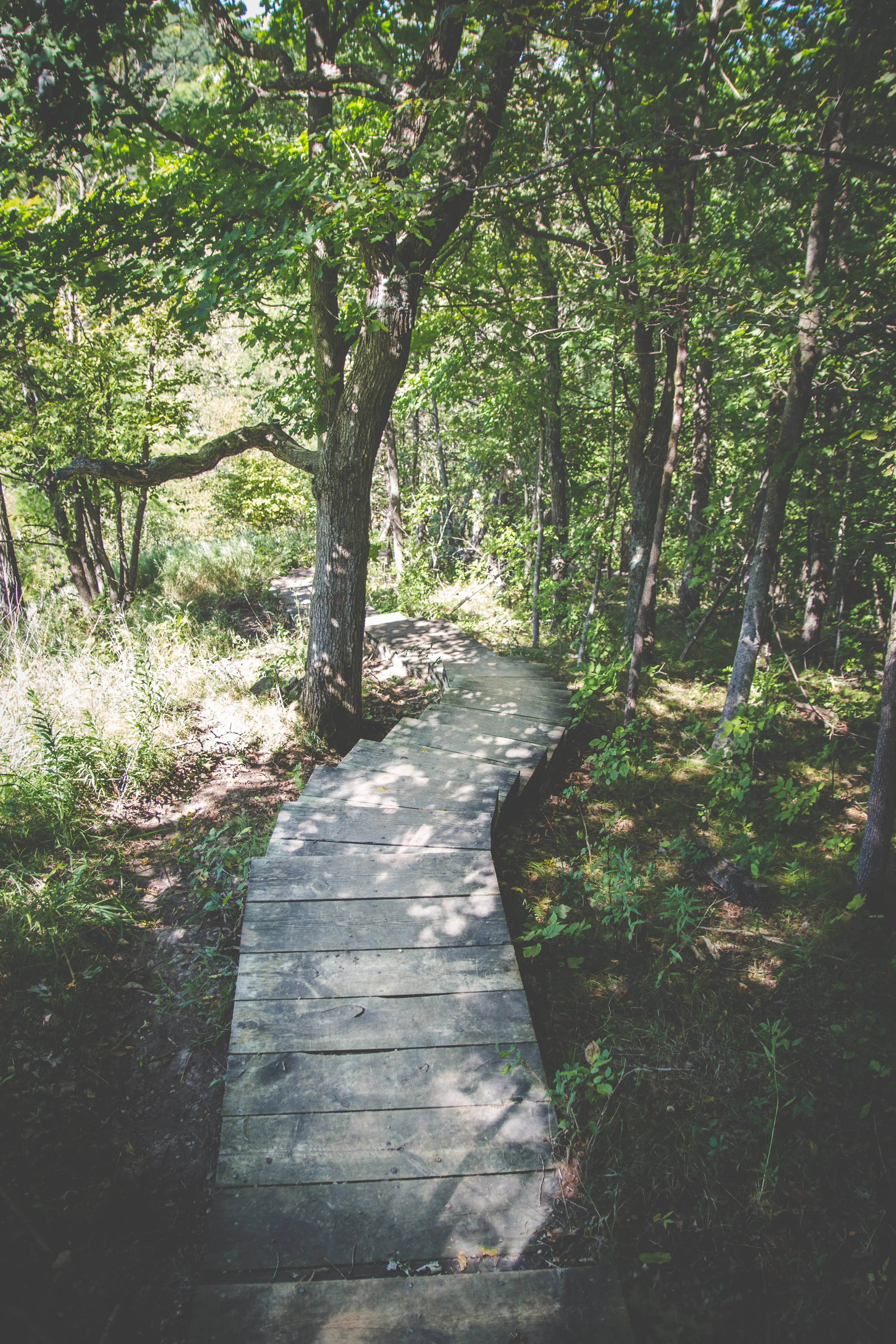 Creating your Vision for 2021 Wellbeing
