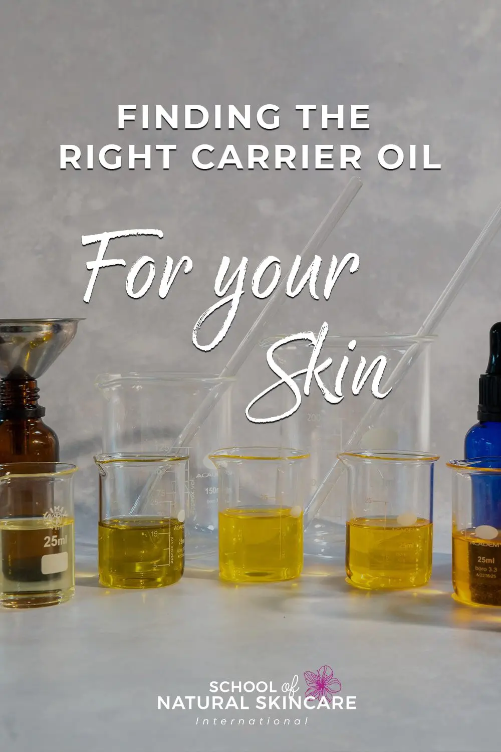 Carrier Oils: Finding the right carrier oil for your skin Natural Skincare Ingredients