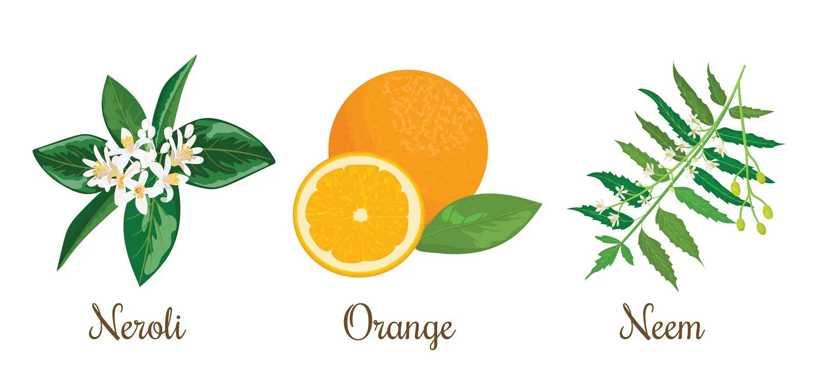 Making natural skincare products free from chemicals Getting started