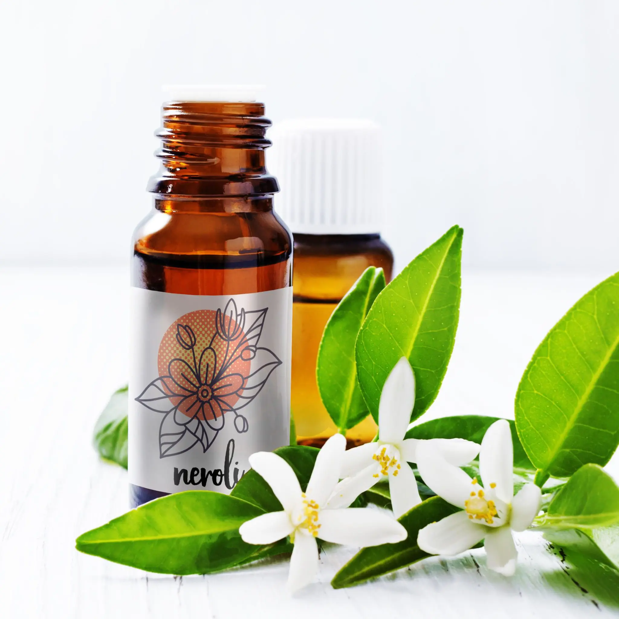 Natural, Simple, and Effective: Why Natural Skincare Ingredients Help your Products Shine Natural Skincare Ingredients