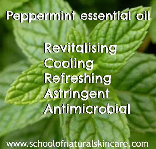 peppermint essential oils properties