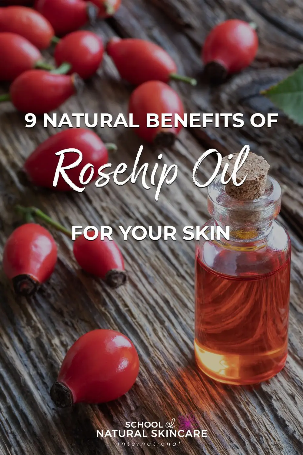 9 Natural Benefits of Rosehip Oil for Your Skin Natural Skincare Ingredients