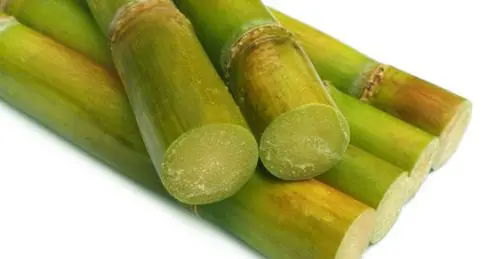 Sugar cane Glycolic Acid