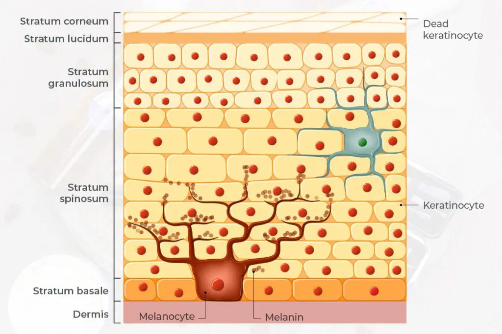 natural remedies for dry hands natural remedies for dry hands