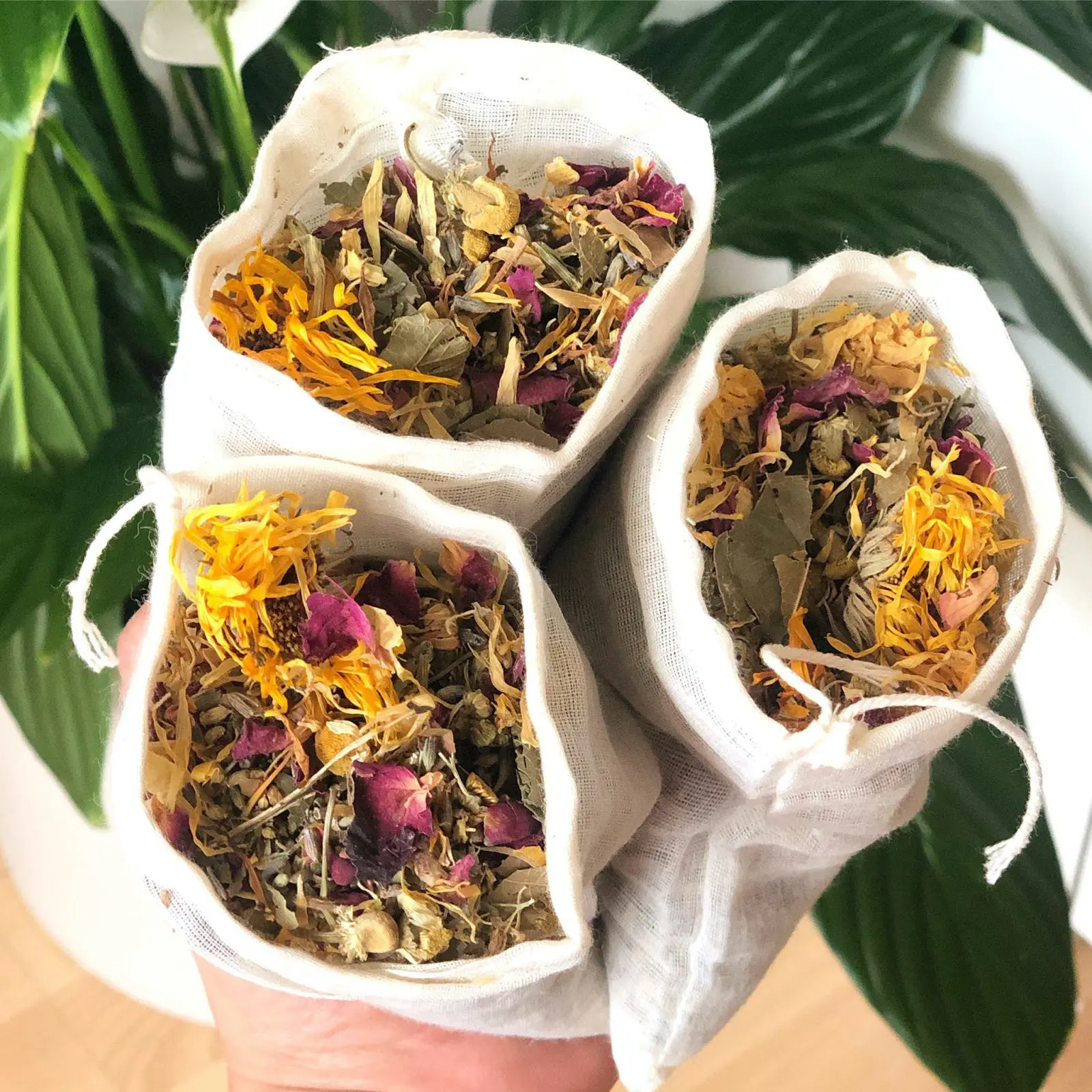 Denisse B García – the Naturally Nourishing Mama Student success stories