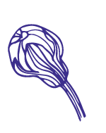 How to Create a Luxury Spa Experience At Home (it’s Easier than you Think!) Wellbeing